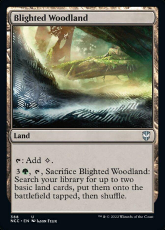 Blighted Woodland [Streets of New Capenna Commander] - La Boîte Mystère ( The Mystery Box)