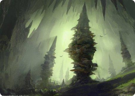 Forest (280) Art Card [Dungeons & Dragons: Adventures in the Forgotten Realms Art Series] - La Boîte Mystère ( The Mystery Box)