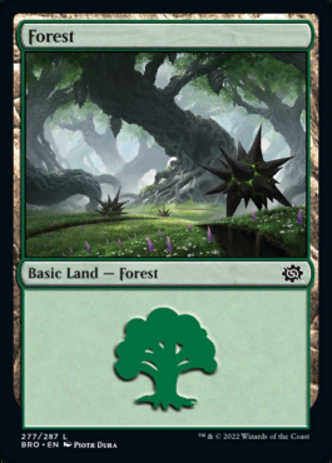 Forest (277) [The Brothers' War] - La Boîte Mystère ( The Mystery Box)