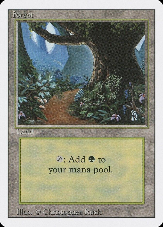 Forest (305) [Revised Edition] - La Boîte Mystère ( The Mystery Box)