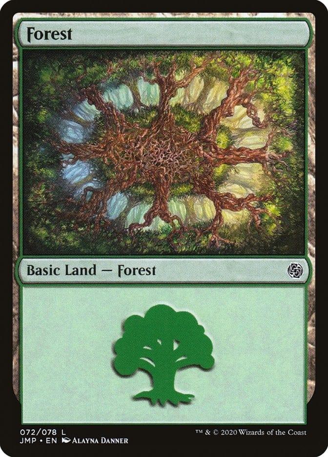 Forest (72) [Jumpstart] - La Boîte Mystère ( The Mystery Box)