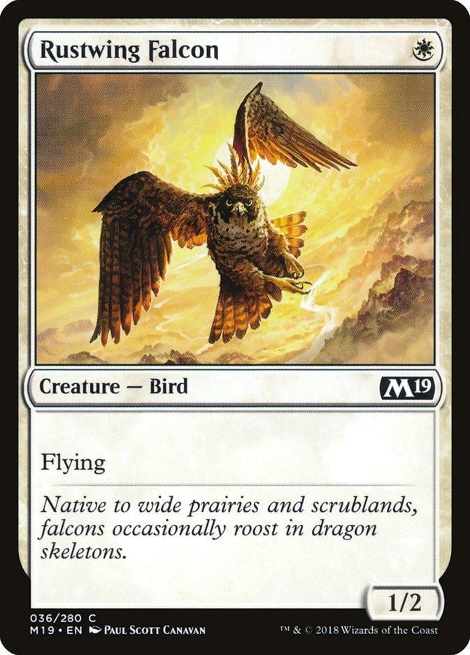 Rustwing Falcon [Core Set 2019] - La Boîte Mystère ( The Mystery Box)
