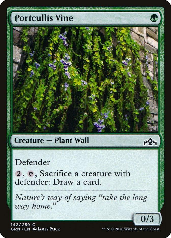 Portcullis Vine [Guilds of Ravnica] - La Boîte Mystère ( The Mystery Box)