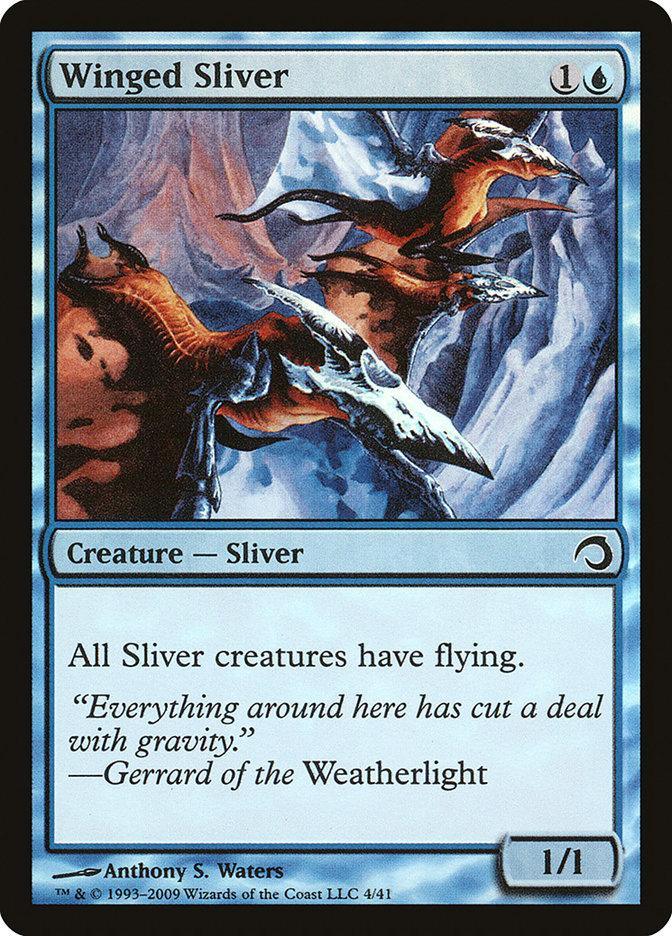 Winged Sliver [Premium Deck Series: Slivers] - La Boîte Mystère ( The Mystery Box)