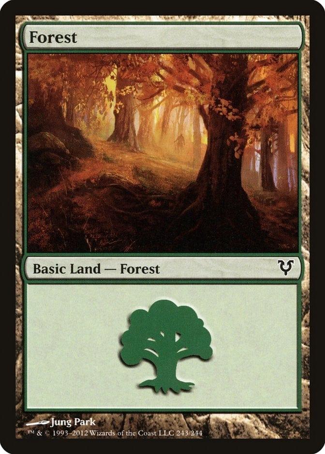 Forest (243) [Avacyn Restored] - La Boîte Mystère ( The Mystery Box)