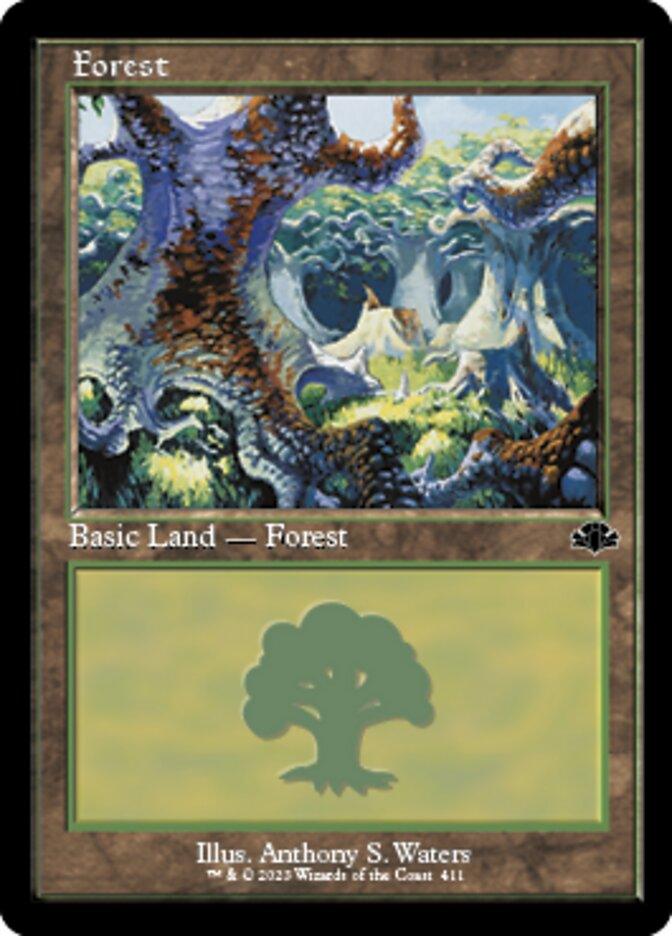 Forest (411) (Retro) [Dominaria Remastered] - La Boîte Mystère ( The Mystery Box)