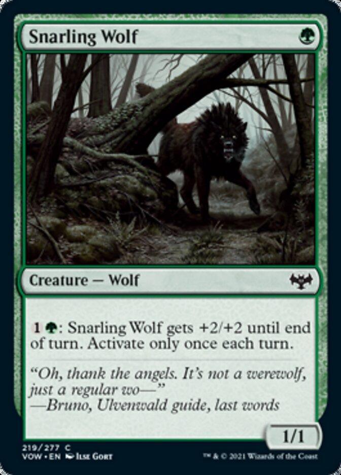 Snarling Wolf [Innistrad: Crimson Vow] - La Boîte Mystère ( The Mystery Box)