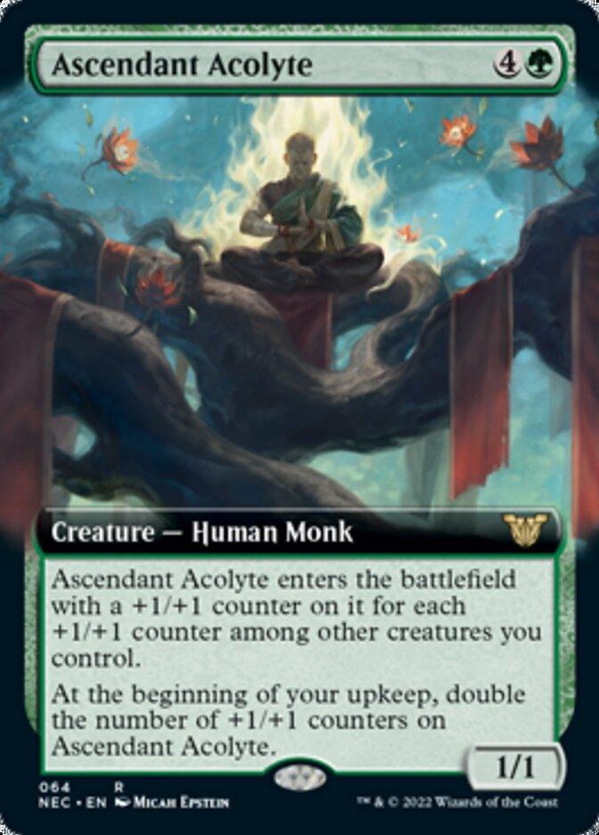 Ascendant Acolyte (Extended) [Kamigawa: Neon Dynasty Commander] - La Boîte Mystère ( The Mystery Box)