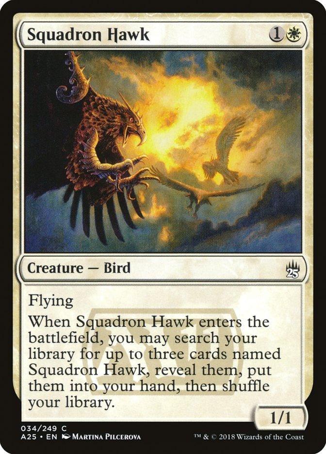 Squadron Hawk [Masters 25] - La Boîte Mystère ( The Mystery Box)