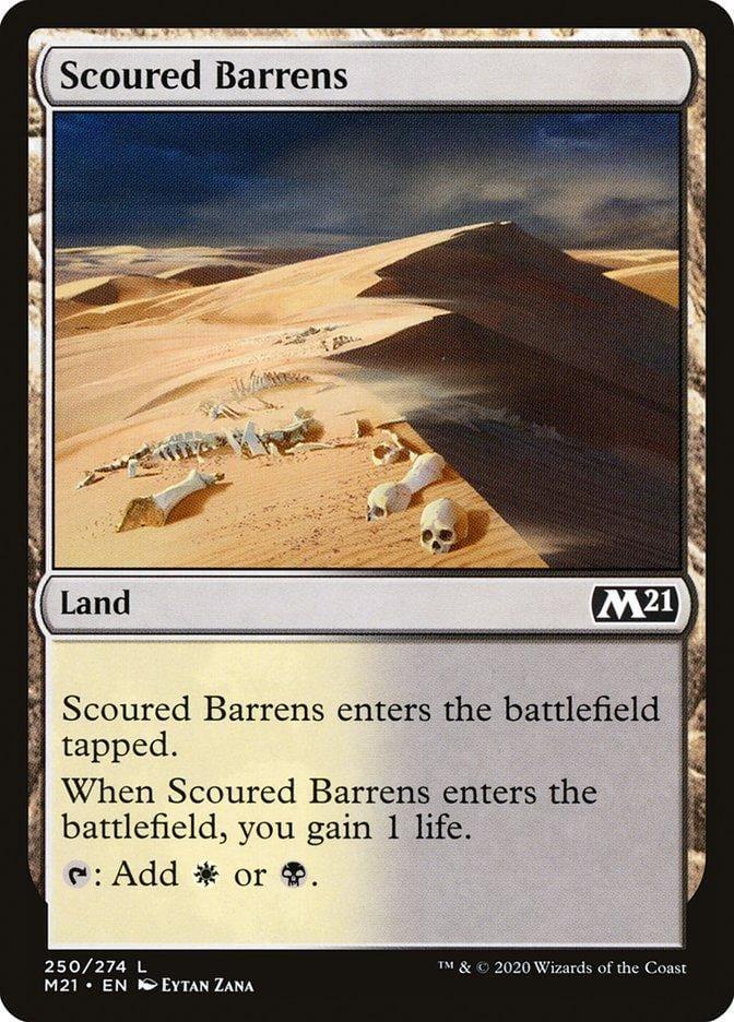 Scoured Barrens [Core Set 2021] - La Boîte Mystère ( The Mystery Box)
