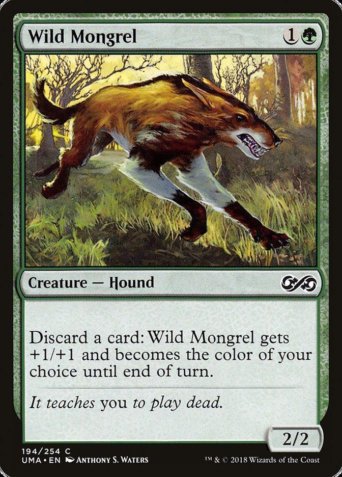 Wild Mongrel [Ultimate Masters] - La Boîte Mystère ( The Mystery Box)