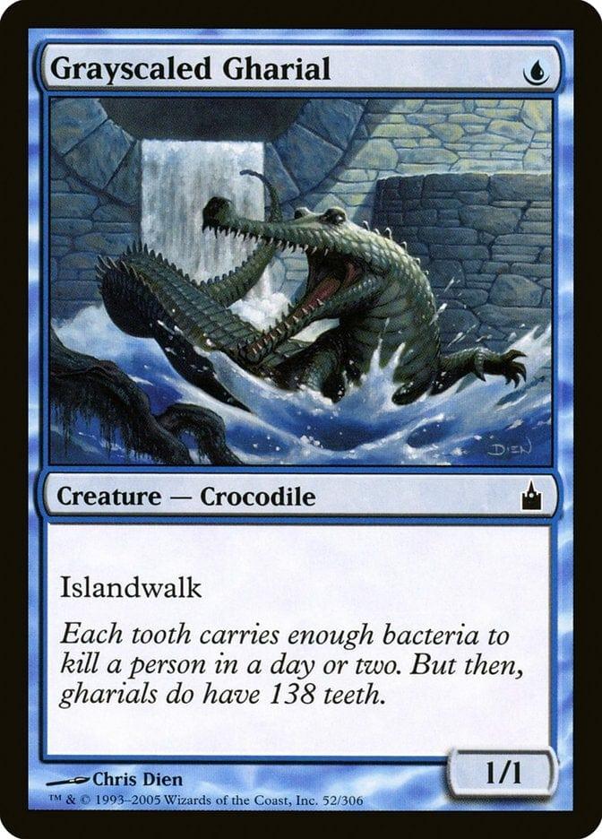 Grayscaled Gharial [Ravnica: City of Guilds] - La Boîte Mystère ( The Mystery Box)