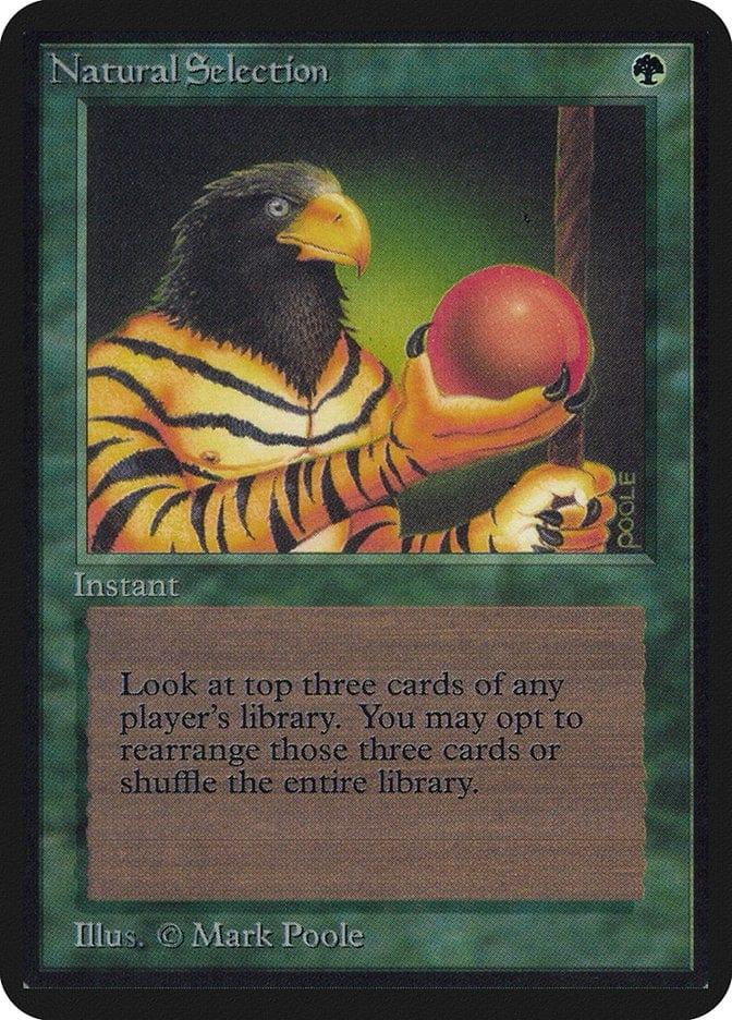 Natural Selection [Limited Edition Alpha] - La Boîte Mystère ( The Mystery Box)