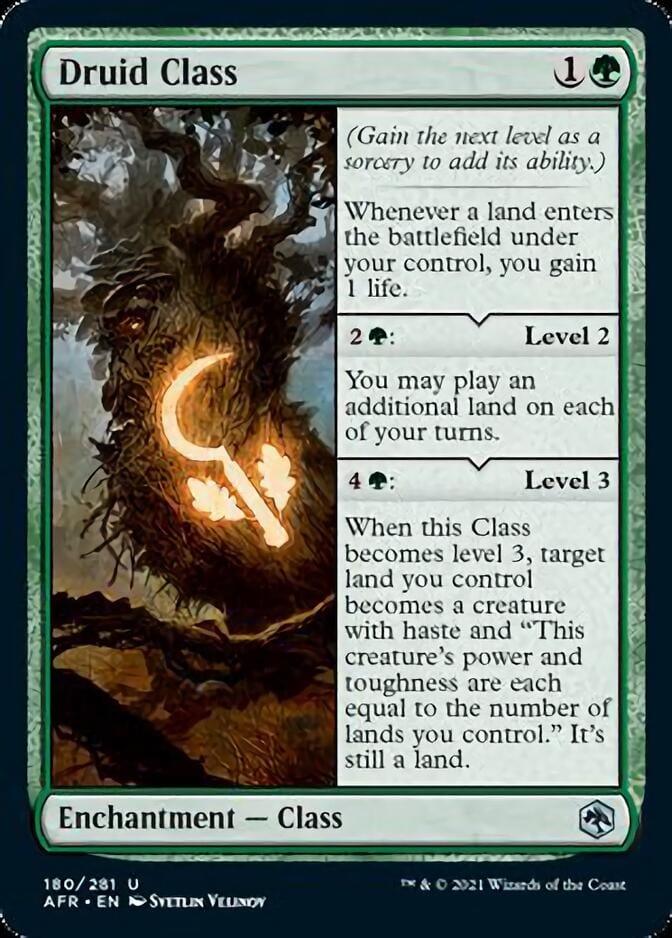 Druid Class [Dungeons & Dragons: Adventures in the Forgotten Realms] - La Boîte Mystère ( The Mystery Box)