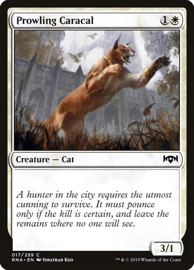 Prowling Caracal [Ravnica Allegiance] - La Boîte Mystère ( The Mystery Box)