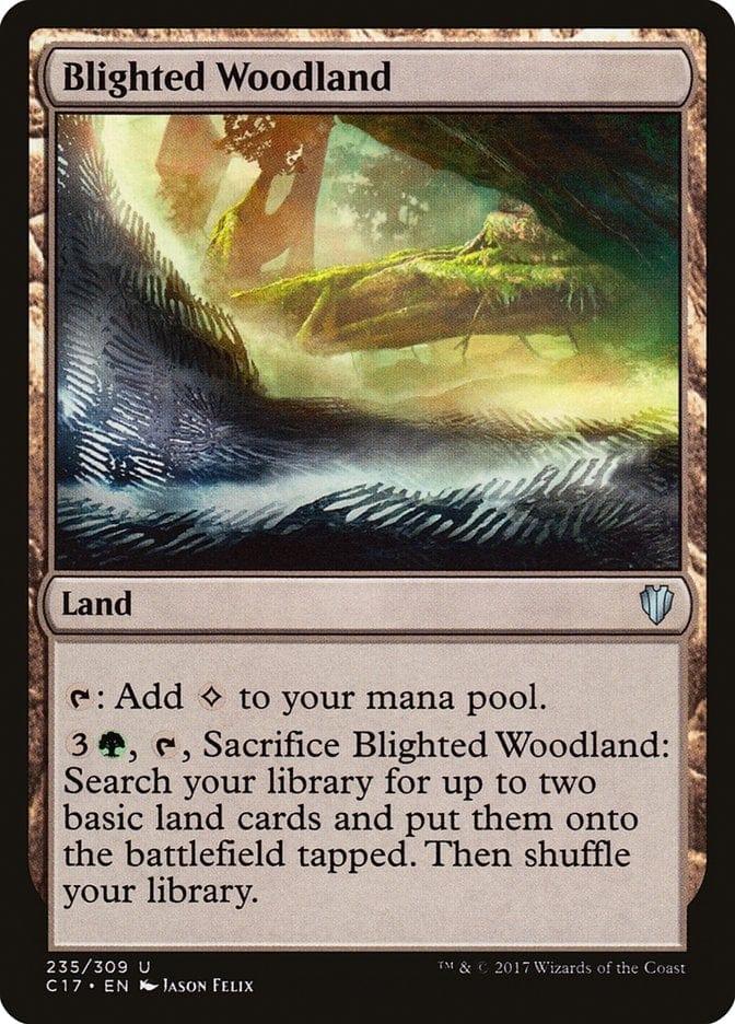 Magic: The Gathering MTG Single Blighted Woodland [Commander 2017]