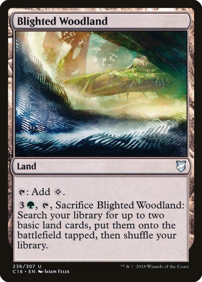 Magic: The Gathering MTG Single Blighted Woodland [Commander 2018]