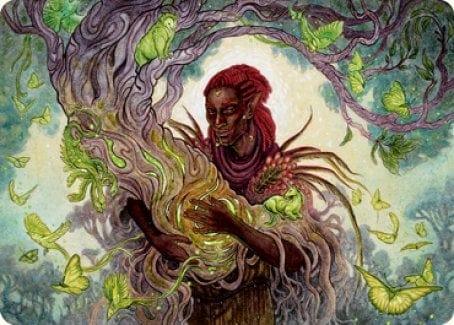 Magic: The Gathering MTG Single Circle of Dreams Druid Art Card [Dungeons & Dragons: Adventures in the Forgotten Realms Art Series]