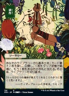 Magic: The Gathering MTG Single Cultivate (Japanese) [Strixhaven Mystical Archive]