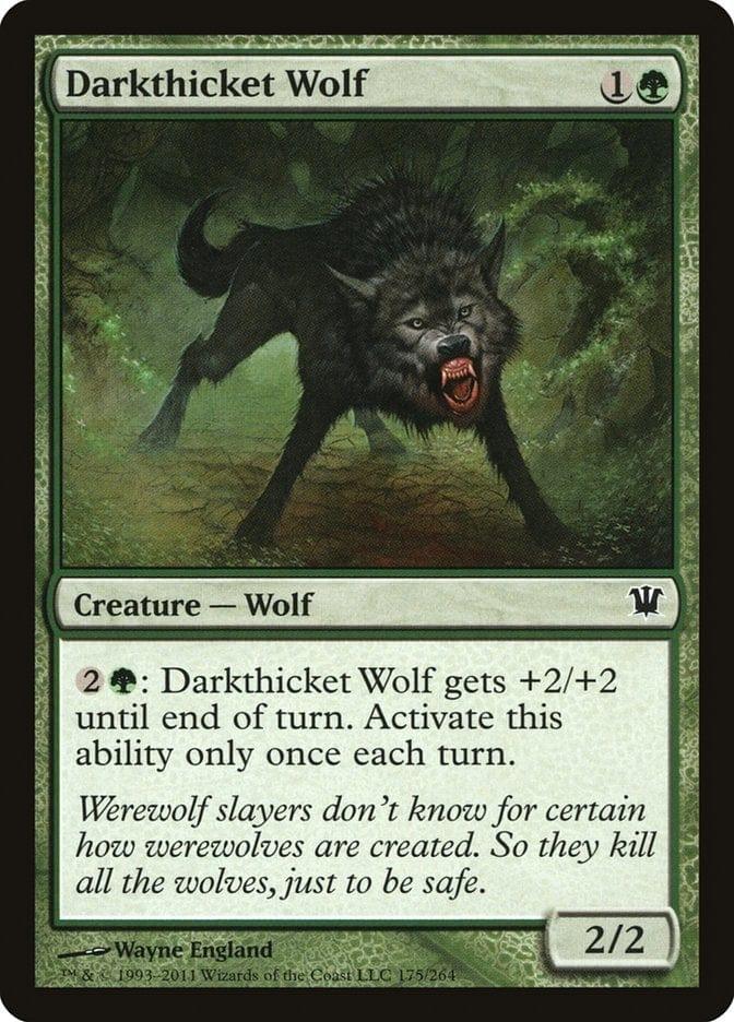 Magic: The Gathering MTG Single Darkthicket Wolf [Innistrad]