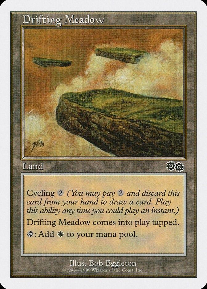 Magic: The Gathering MTG Single Drifting Meadow [Battle Royale Box Set]