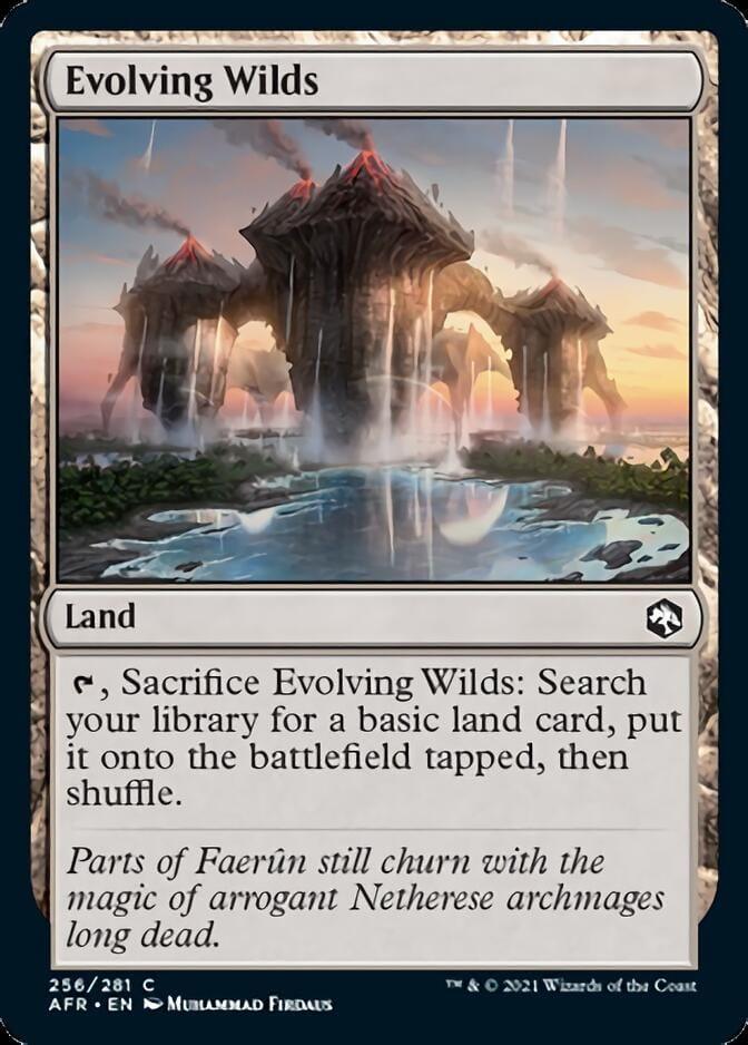 Magic: The Gathering MTG Single Evolving Wilds [Dungeons & Dragons: Adventures in the Forgotten Realms]
