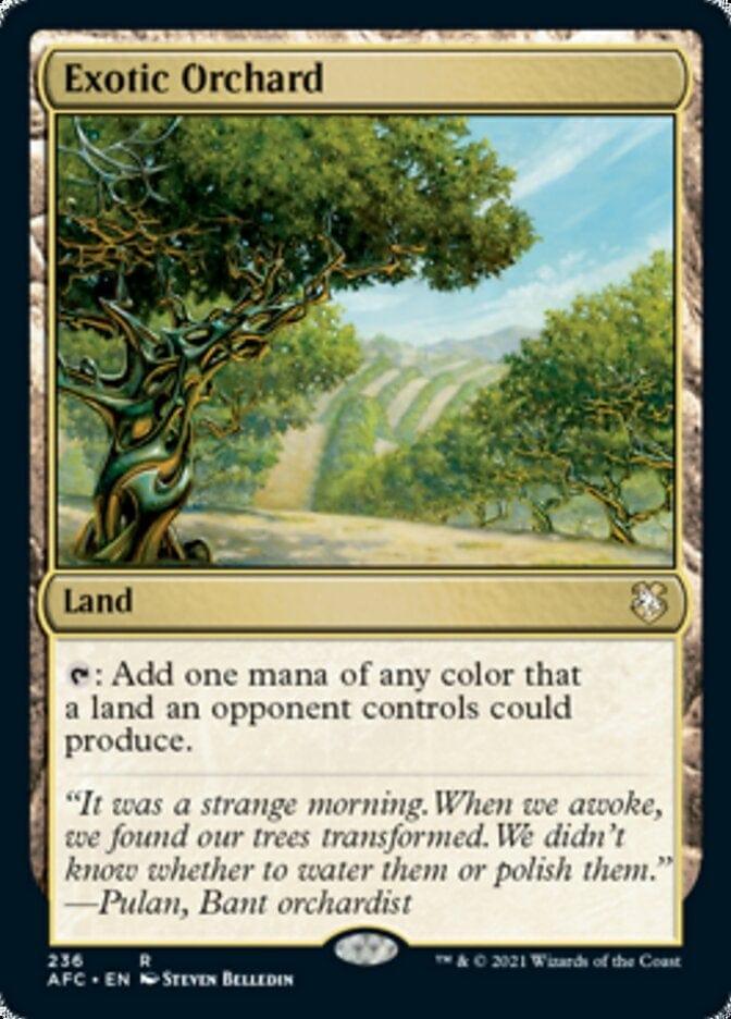 Magic: The Gathering MTG Single Exotic Orchard [Dungeons & Dragons: Adventures in the Forgotten Realms Commander]