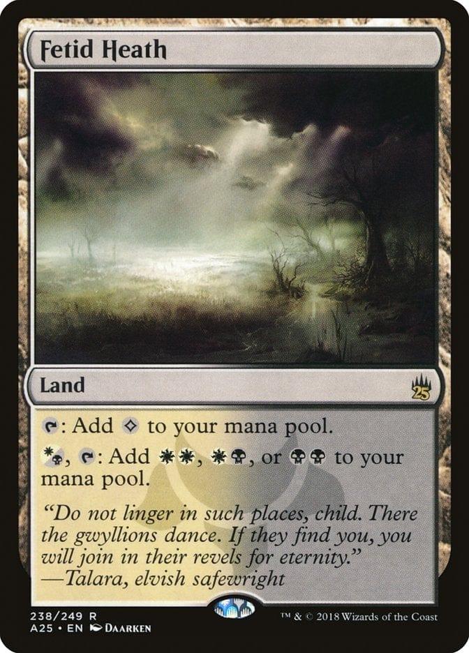 Magic: The Gathering MTG Single Fetid Heath [Masters 25]