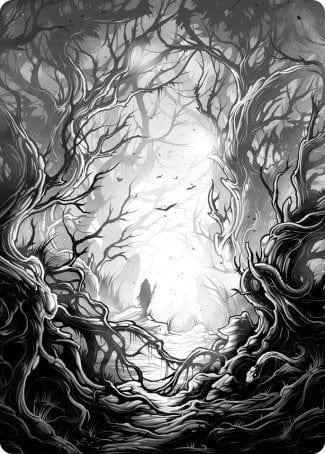 Magic: The Gathering MTG Single Forest 1 Art Card [Innistrad: Midnight Hunt Art Series]