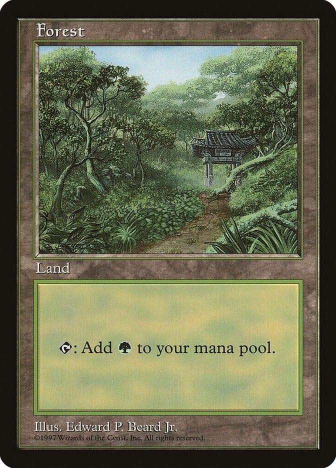 Magic: The Gathering MTG Single Forest (11) [Asia Pacific Land Program]