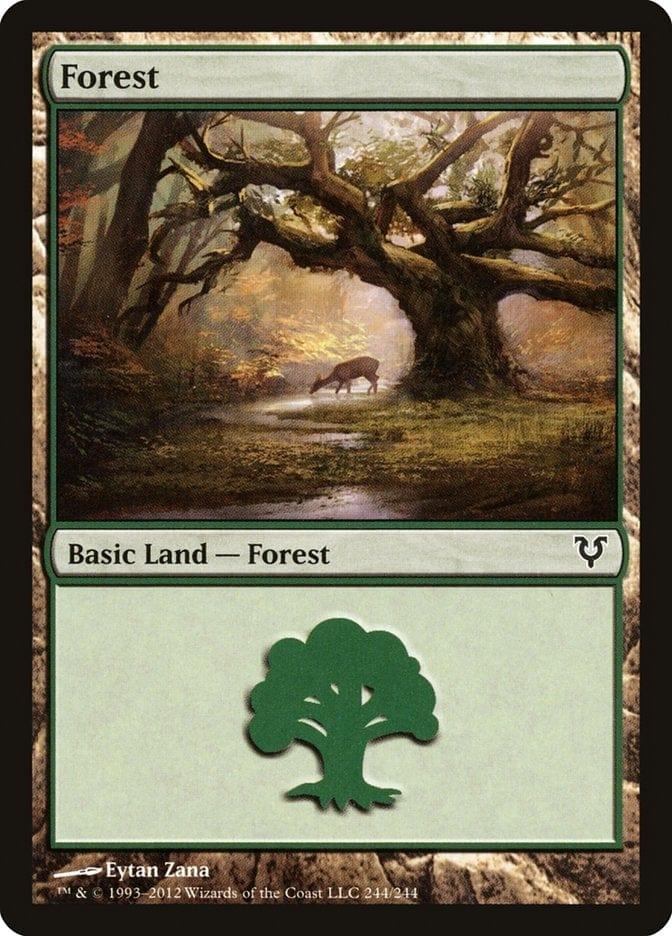 Magic: The Gathering MTG Single Forest (244) [Avacyn Restored]