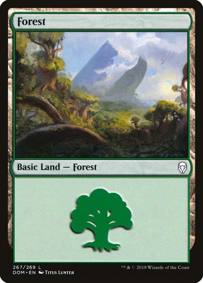 Magic: The Gathering MTG Single Forest (267) [Dominaria]