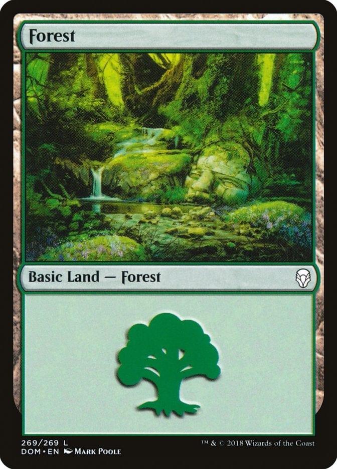 Magic: The Gathering MTG Single Forest (269) [Dominaria]