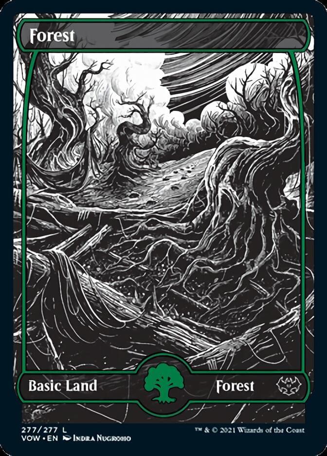 Magic: The Gathering MTG Single Forest (277) [Innistrad: Crimson Vow]
