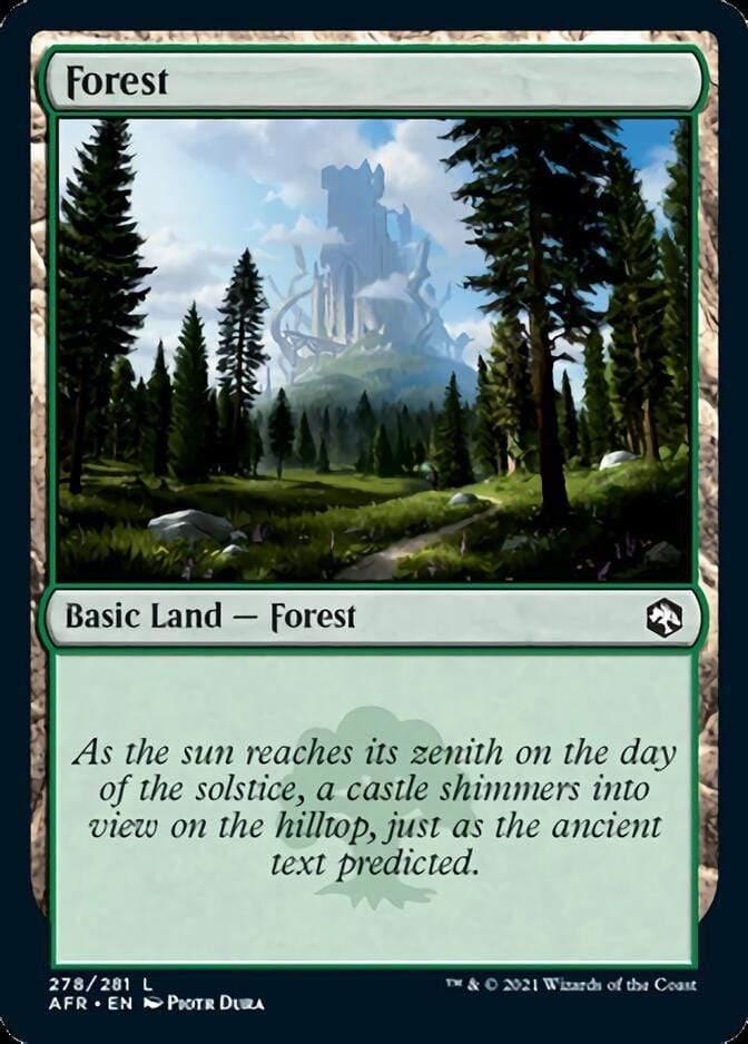 Magic: The Gathering MTG Single Forest (278) [Dungeons & Dragons: Adventures in the Forgotten Realms]