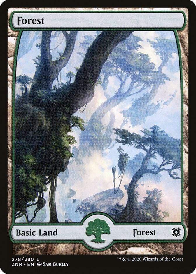 Magic: The Gathering MTG Single Forest (278) [Zendikar Rising]