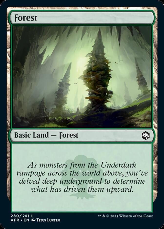 Magic: The Gathering MTG Single Forest (280) [Dungeons & Dragons: Adventures in the Forgotten Realms]