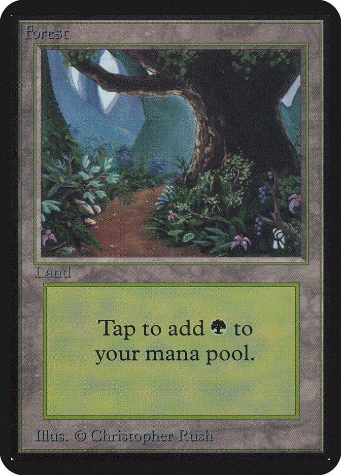 Magic: The Gathering MTG Single Forest (295) [Limited Edition Alpha]