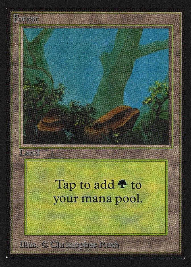 Magic: The Gathering MTG Single Forest (300) [International Collectors’ Edition]