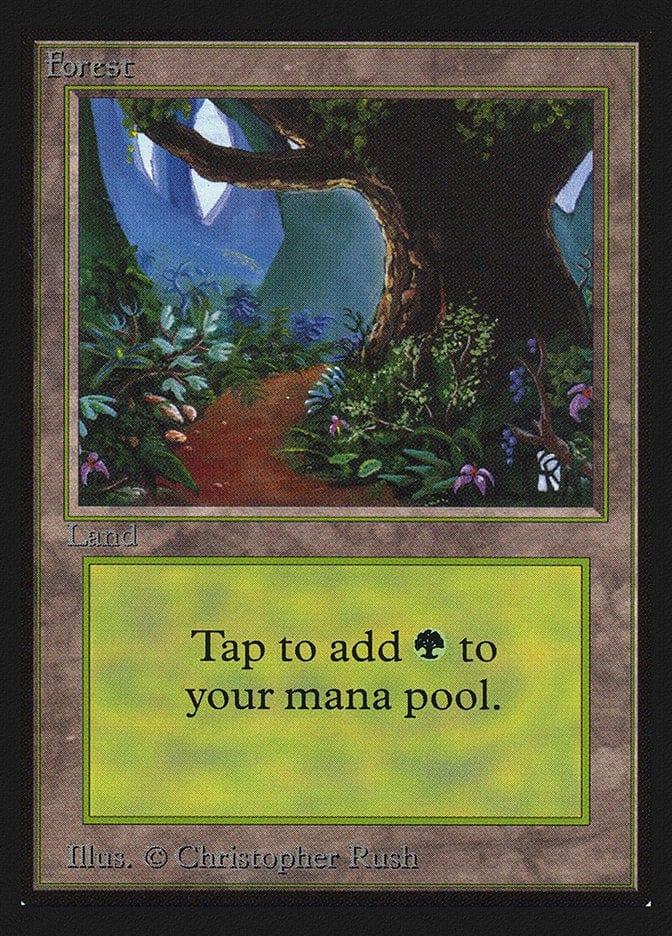 Magic: The Gathering MTG Single Forest (301) [International Collectors’ Edition]