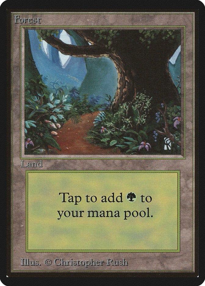 Magic: The Gathering MTG Single Forest (301) [Limited Edition Beta]