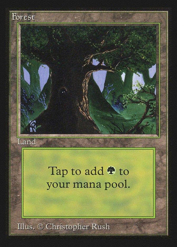 Magic: The Gathering MTG Single Forest (302) [International Collectors’ Edition]