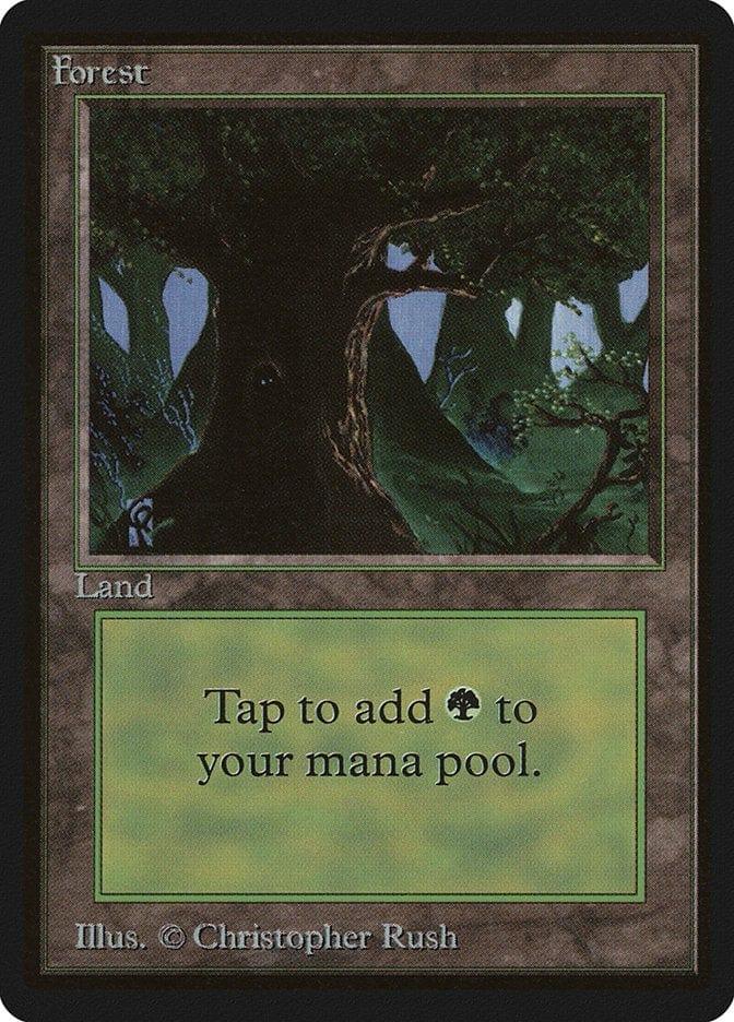 Magic: The Gathering MTG Single Forest (302) [Limited Edition Beta]