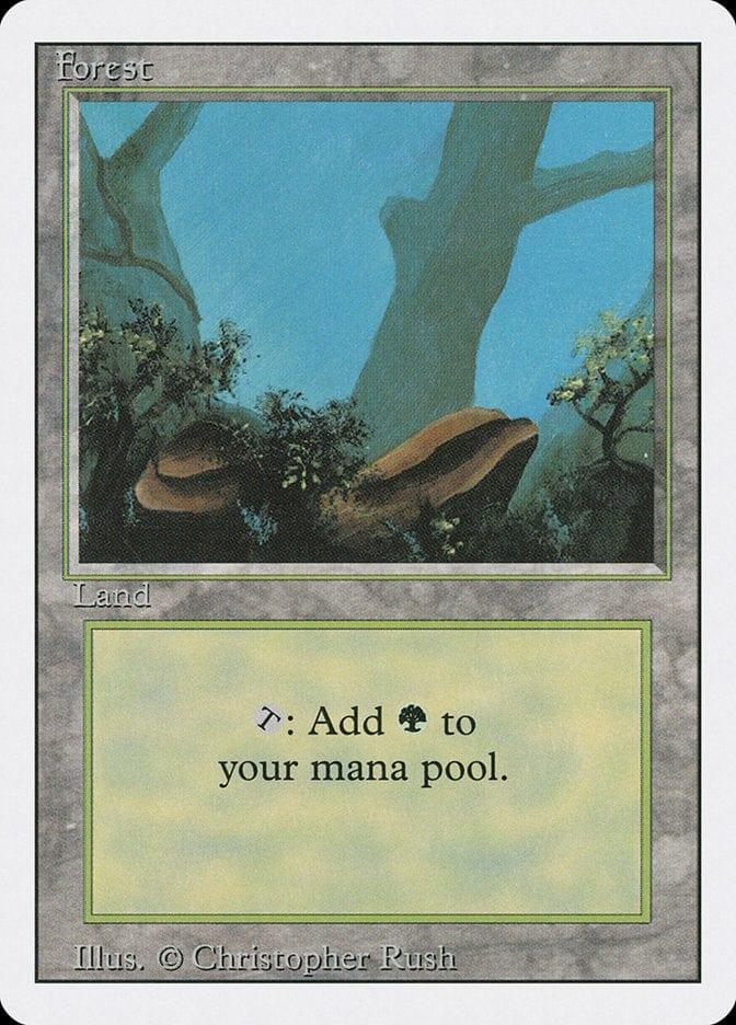 Magic: The Gathering MTG Single Forest (304) [Revised Edition]
