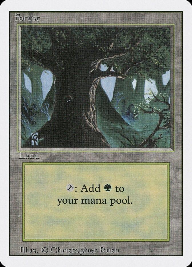 Magic: The Gathering MTG Single Forest (306) [Revised Edition]