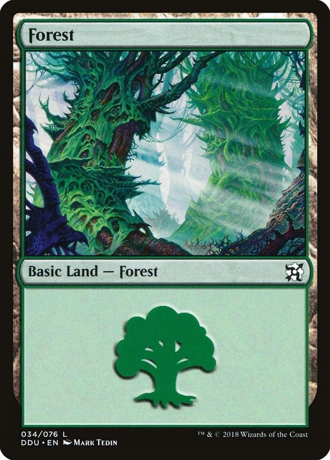 Magic: The Gathering MTG Single Forest (34) [Duel Decks: Elves vs. Inventors]