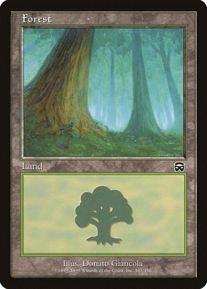 Magic: The Gathering MTG Single Forest (347) [Mercadian Masques]