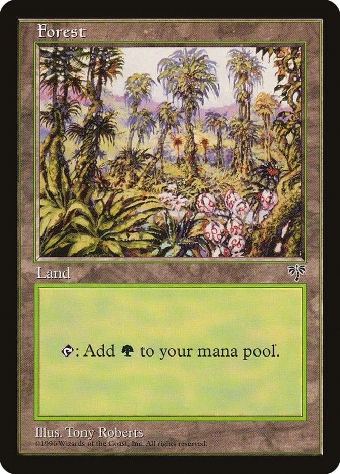 Magic: The Gathering MTG Single Forest (347) [Mirage]
