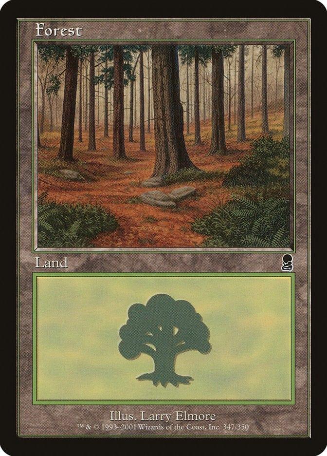 Magic: The Gathering MTG Single Forest (347) [Odyssey]