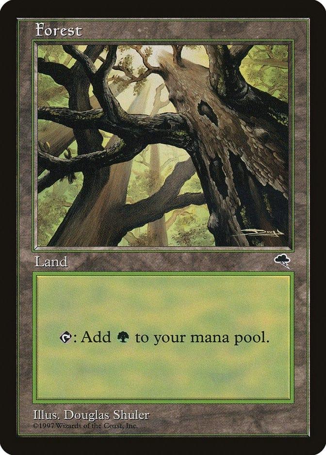 Magic: The Gathering MTG Single Forest (347) [Tempest]